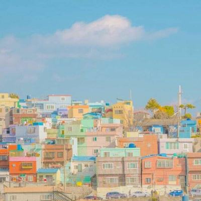 完美体育·app下载